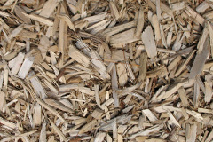biomass boilers Kinmuck